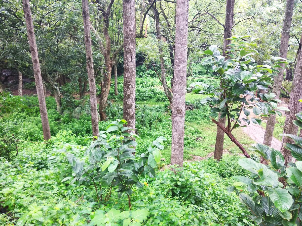 Secret Valley Jungle Resort Ooty Exteriér fotografie