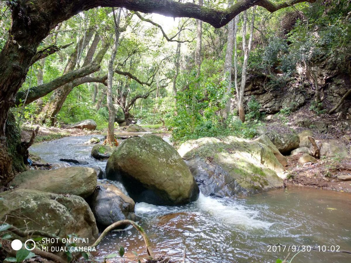 Secret Valley Jungle Resort Ooty Exteriér fotografie