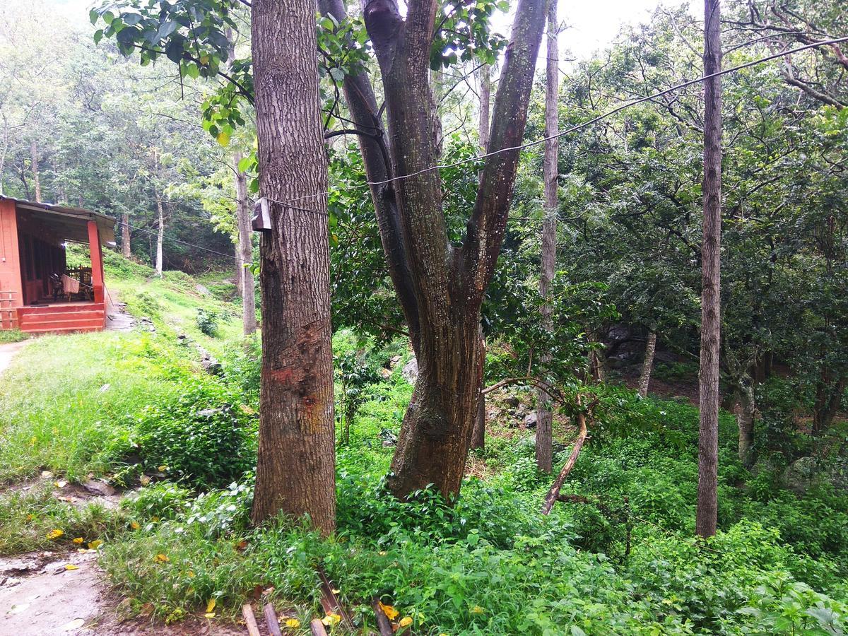 Secret Valley Jungle Resort Ooty Exteriér fotografie