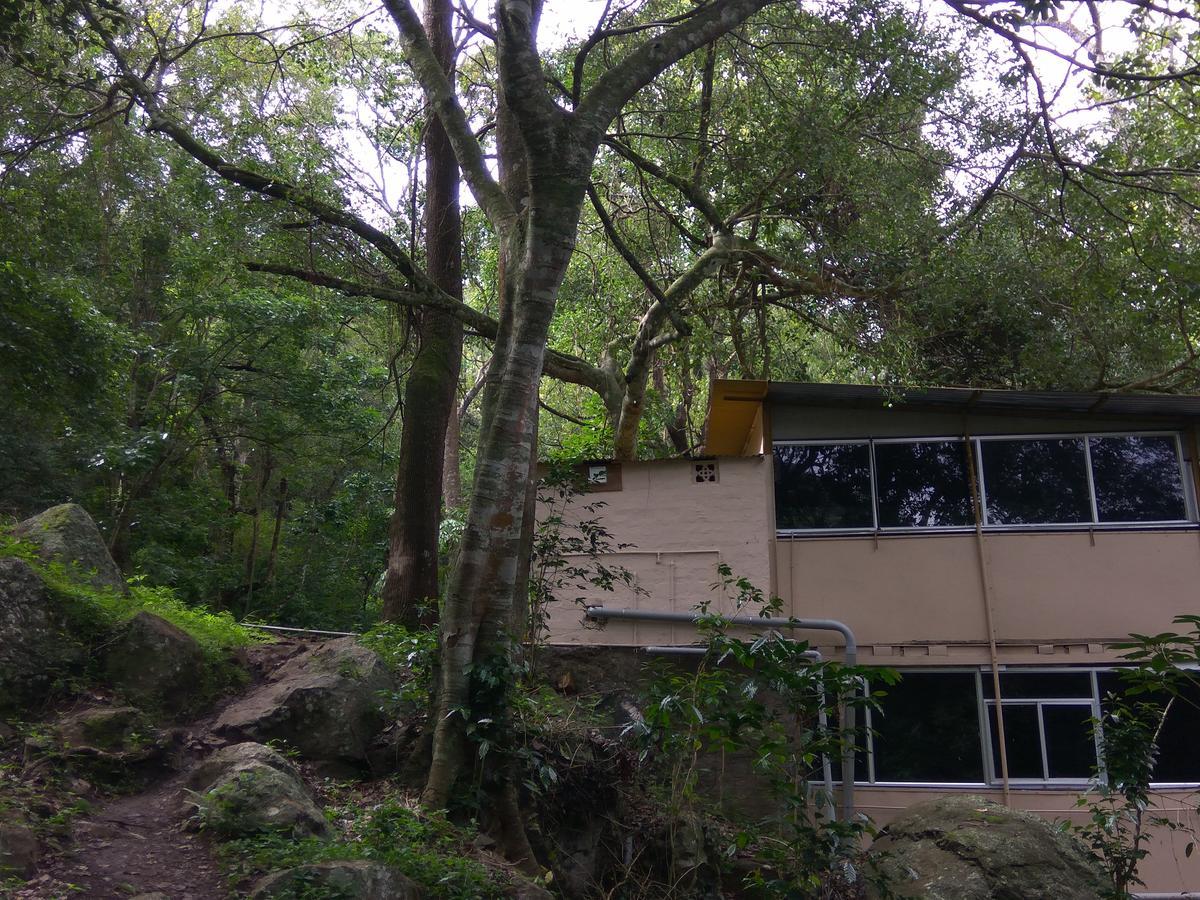 Secret Valley Jungle Resort Ooty Exteriér fotografie