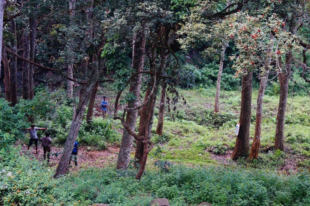 Secret Valley Jungle Resort Ooty Exteriér fotografie