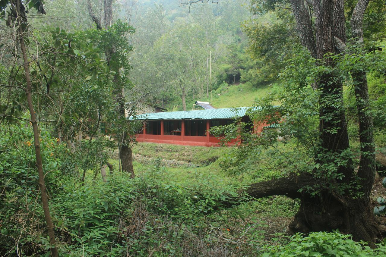 Secret Valley Jungle Resort Ooty Exteriér fotografie